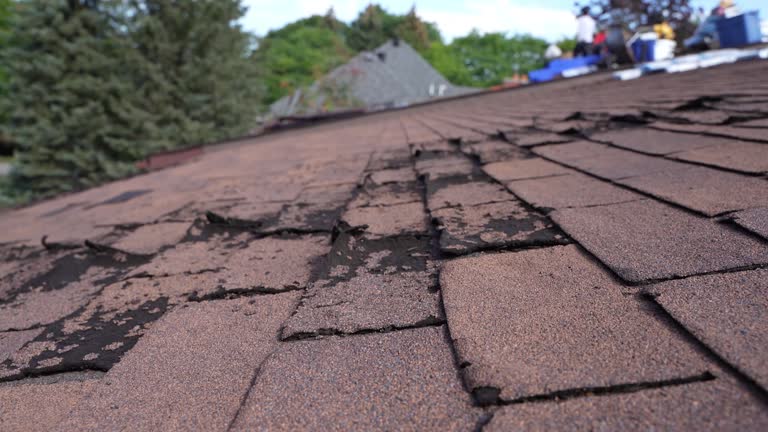 Best Metal Roofing Installation  in Conneaut, OH